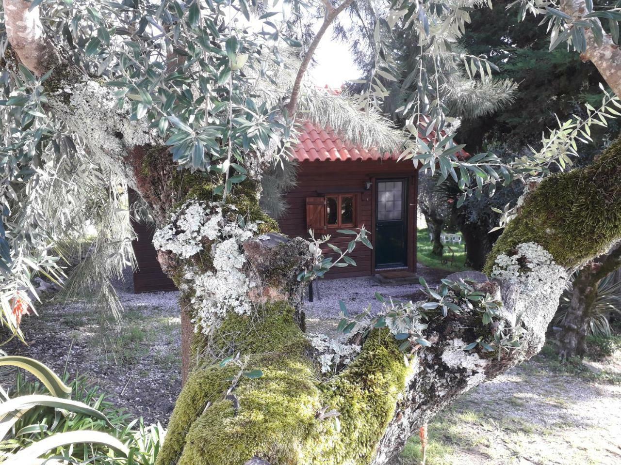 Redondo Lodges Junceira Exterior foto